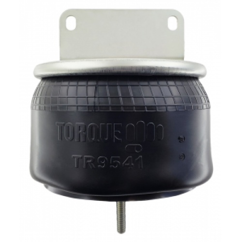 TR9541 Kenwoth Air Spring